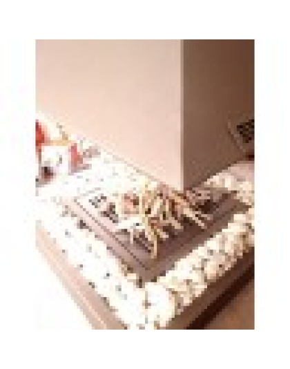 Κρεμαστό - ανοικτό τζάκι  FUTURA